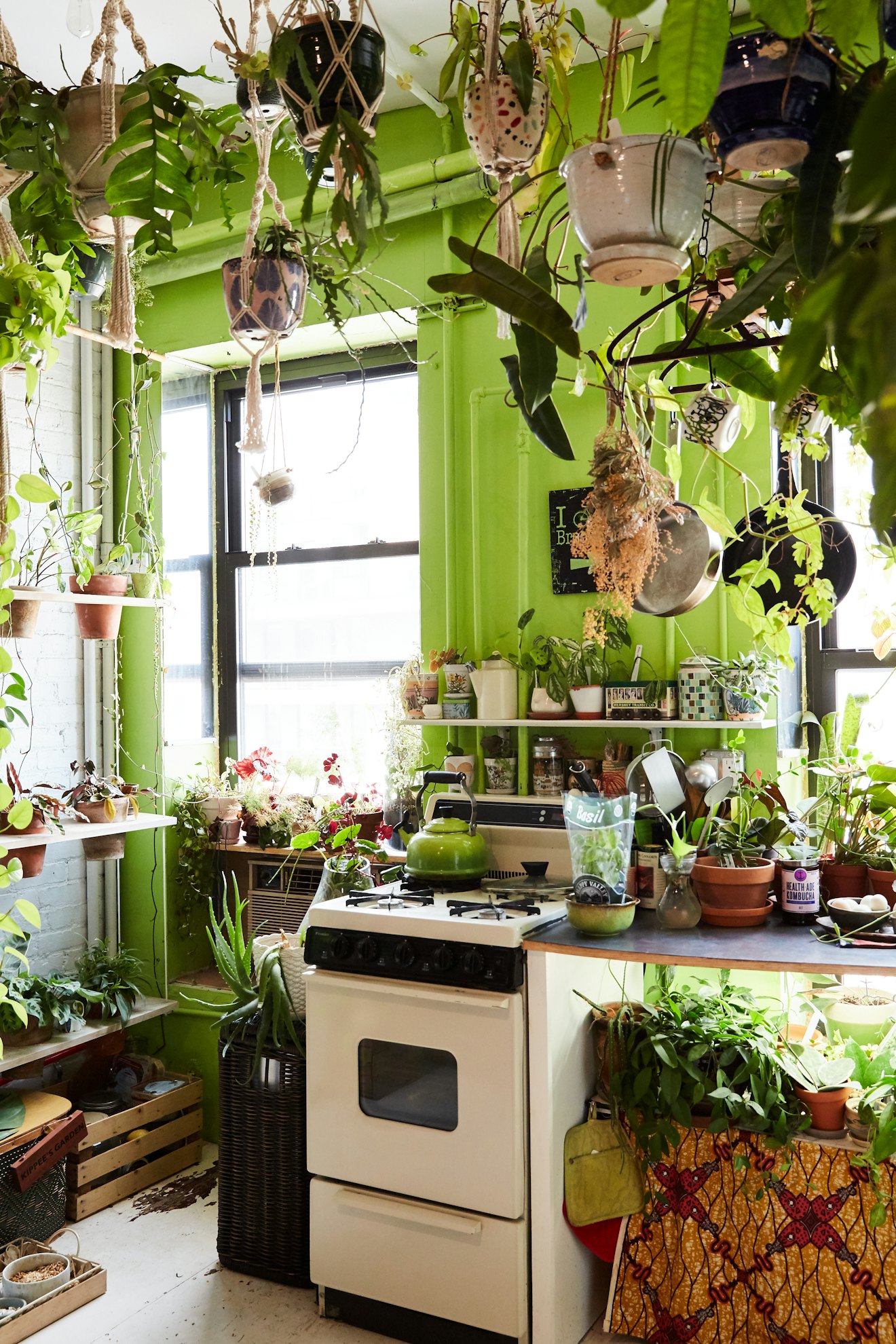 Summer Rayne Oakes' apartment filled with plants 