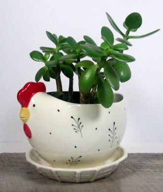 Chicken Planter