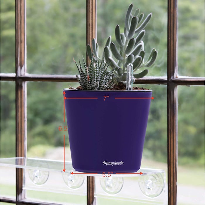 Aquaphoric Self Watering Planter 