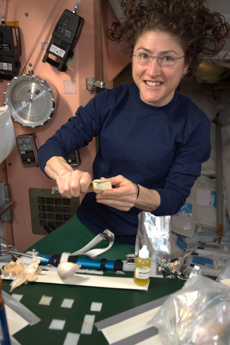 Christina preparing a meal with garlic aboard the International Space Station