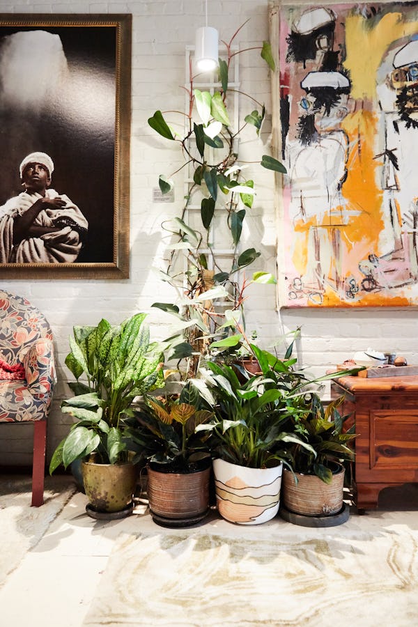 A corner decorated with plants and paintings in Summer Rayne Oakes' home