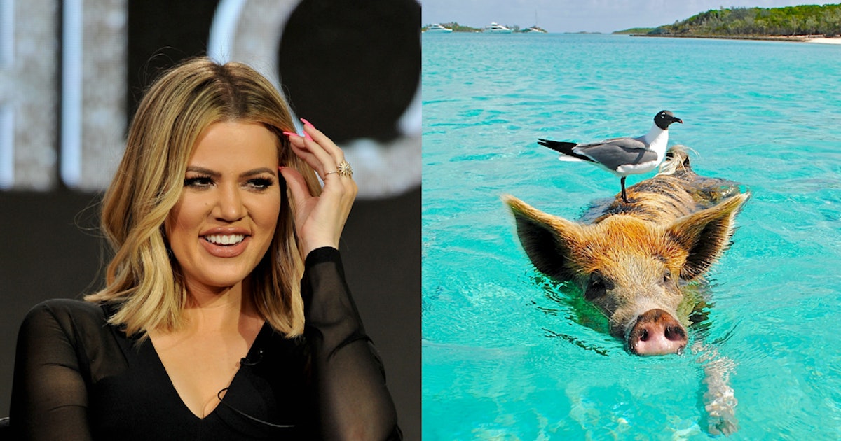 Khloe Kardashian Amp True Thompson S Pig Beach Trip Is