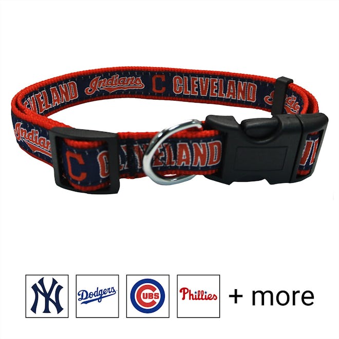  MLB Dog Collar