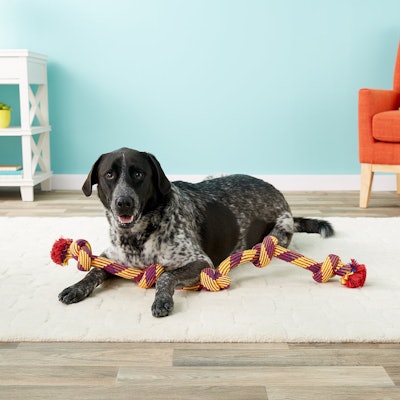 Mammoth Knot Tug for Dogs