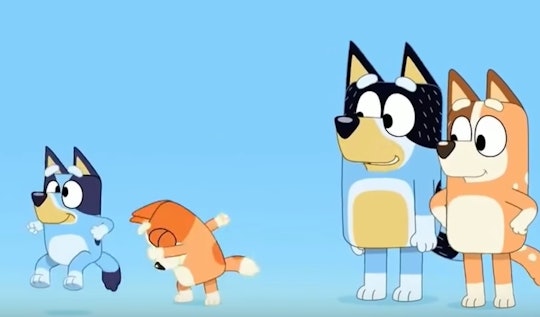 Where To Watch 'Bluey,' The Australian Cartoon About A Family Of Dogs ...