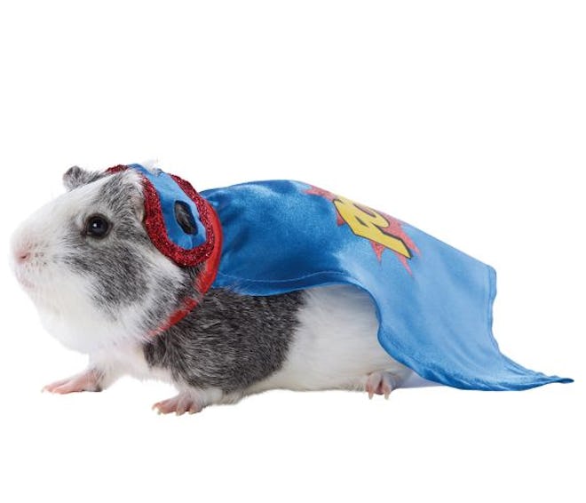 Super Hero Small Pet Costume 