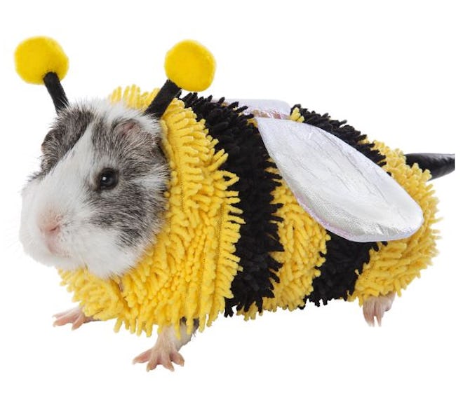 Bumble Bee Small Pet Costume 