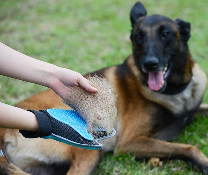 Bonve Pet Dog Grooming Glove