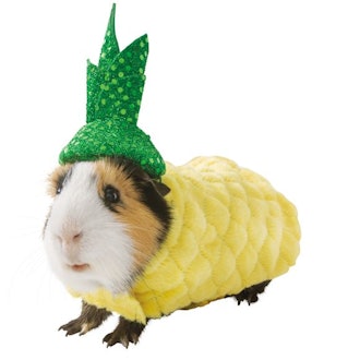 Thrills & Chills Pineapple Small Pet Costume