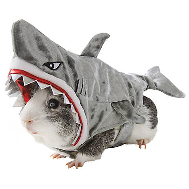 Thrills & Chills Shark Small Pet Costume