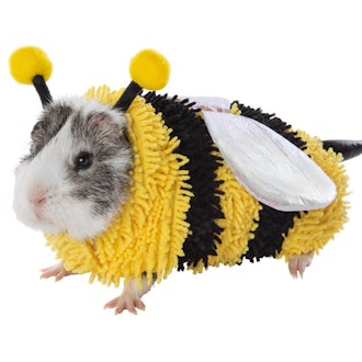 Thrills & Chills Bumble Bee Small Pet Costume
