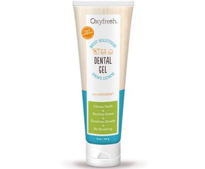 The 3 Best Cat Toothpastes