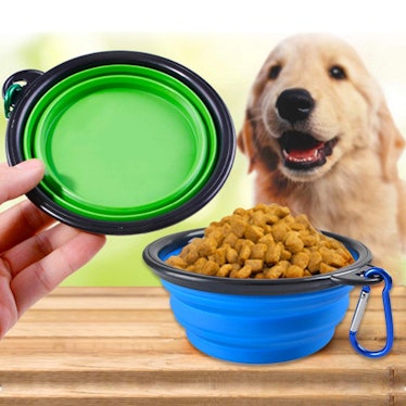 BLEDS Collapsible Dog Bowls (2 Pack)