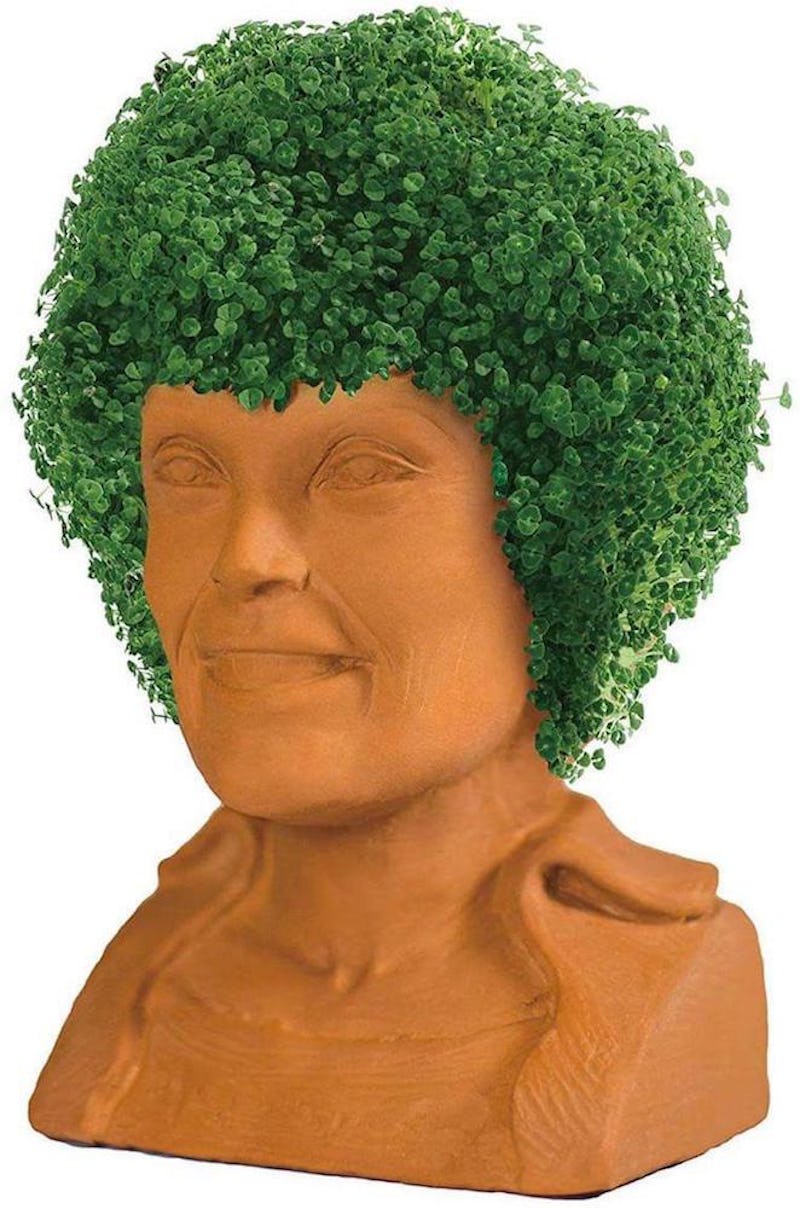 These 'Golden Girls' Chia Pets Will Make Your Room Iconic