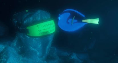 16 Finding Nemo Quotes To Remind You To Just Keep Swimming 16 Finding Nemo Quotes To Remind You To Just Keep Swimming