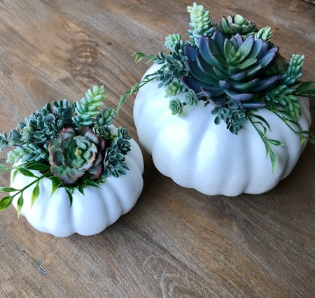 Succulent Pumpkins Are The 2019 Fall Trend You've Been Waiting For