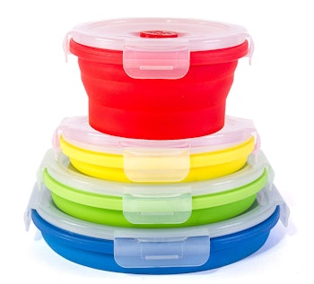 Thin Bins Collapsible Food Storage Containers (4-Pack)