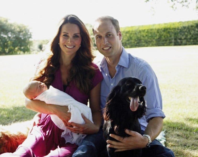 Kate Middleton & Prince William with their newborn baby and Pup Lupo sitting in the park on a sunny ...