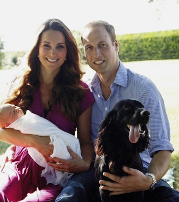 Kate Middleton & Prince William with their newborn baby and Pup Lupo sitting in the park on a sunny ...