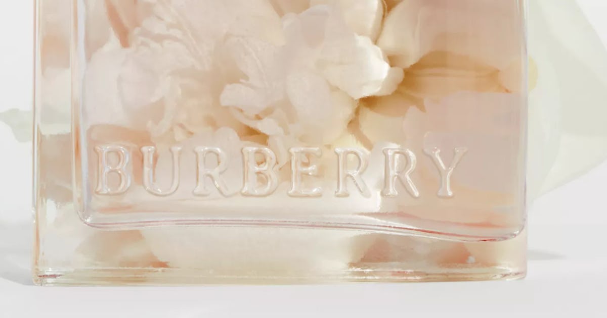 Burberry her vs sales burberry her blossom
