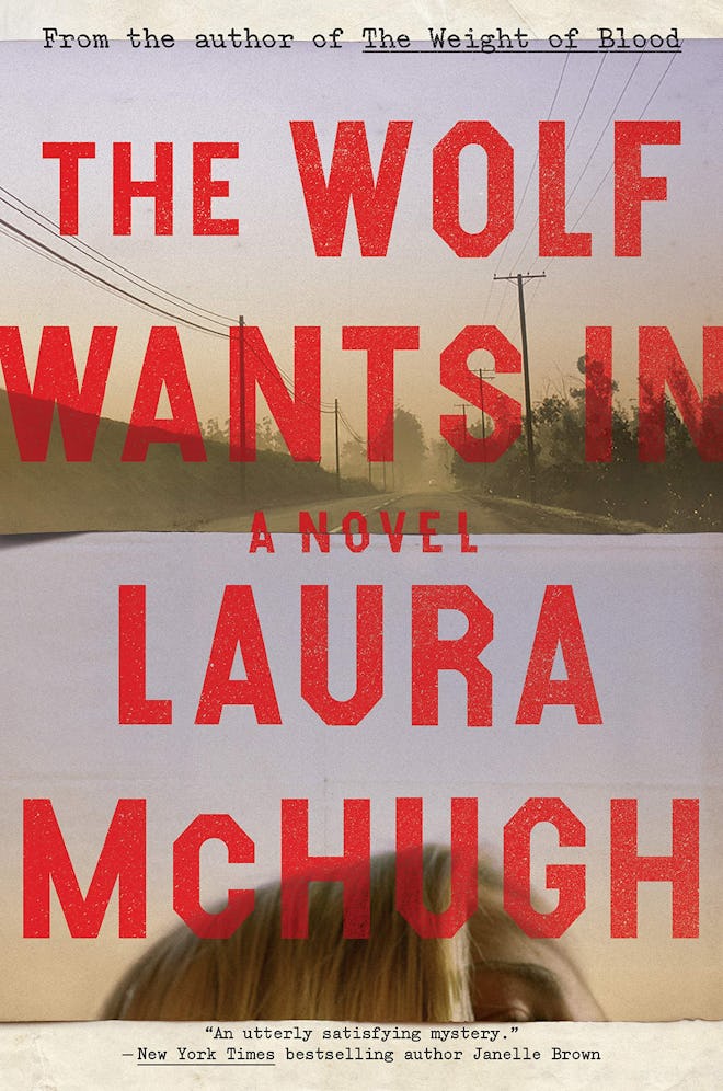 'The Wolf Wants In' by Laura McHugh