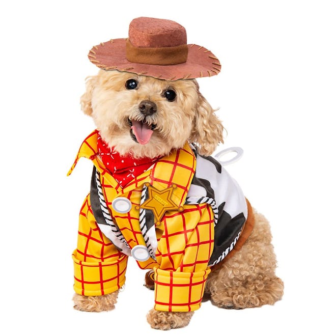 Woody Pet Costume by Rubies