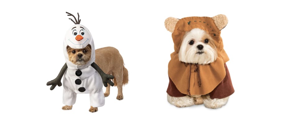 dog olaf costume