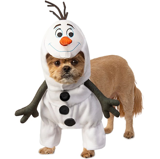 Olaf Pet Costume by Rubie's - Frozen