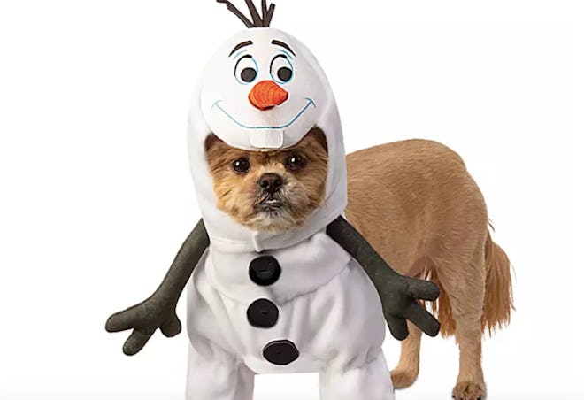 Olaf Pet Costume by Rubie's – Frozen