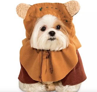 Ewok Costume for Pets by Rubie's – Star Wars
