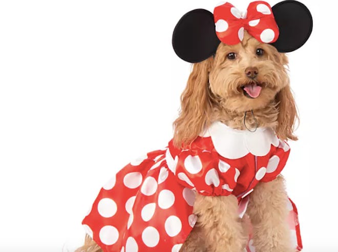  Minnie Mouse Pet Costume by Rubie's