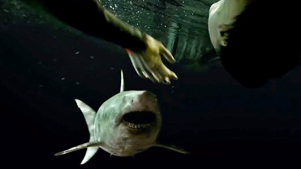 Is 47 Meters Down Uncaged A True Story The Underwater Thriller