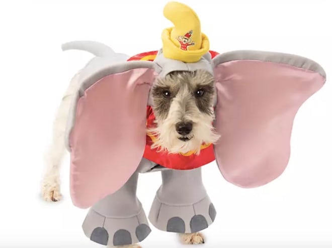  Dumbo Pet Costume by Rubie's