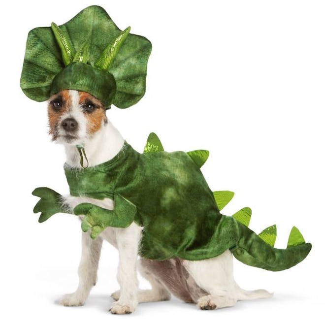Halloween Dinosaur Pet Costume