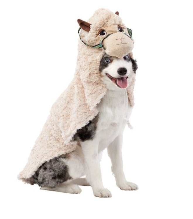 Halloween Llama Pet Costume
