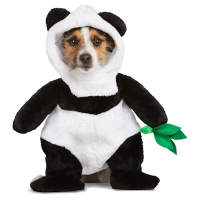 Halloween Panda Pet Walker Costume