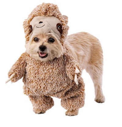 Halloween Sloth Pet Walker Costume