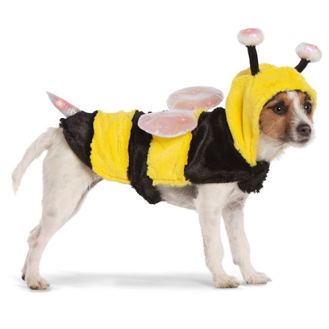 Halloween Bumblebee Pet Costume - Light-Up