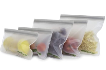 Envirogen Reusable Sandwich Bags (5-Pack)