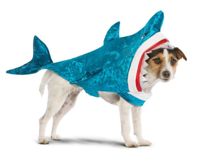 Halloween Shark Pet Costume