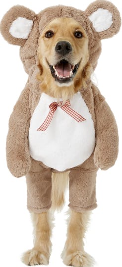 stuffed animal dog costume