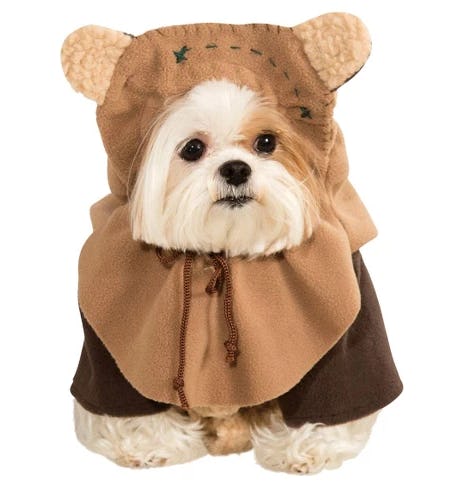 Puppy Dog Costumes For Girls