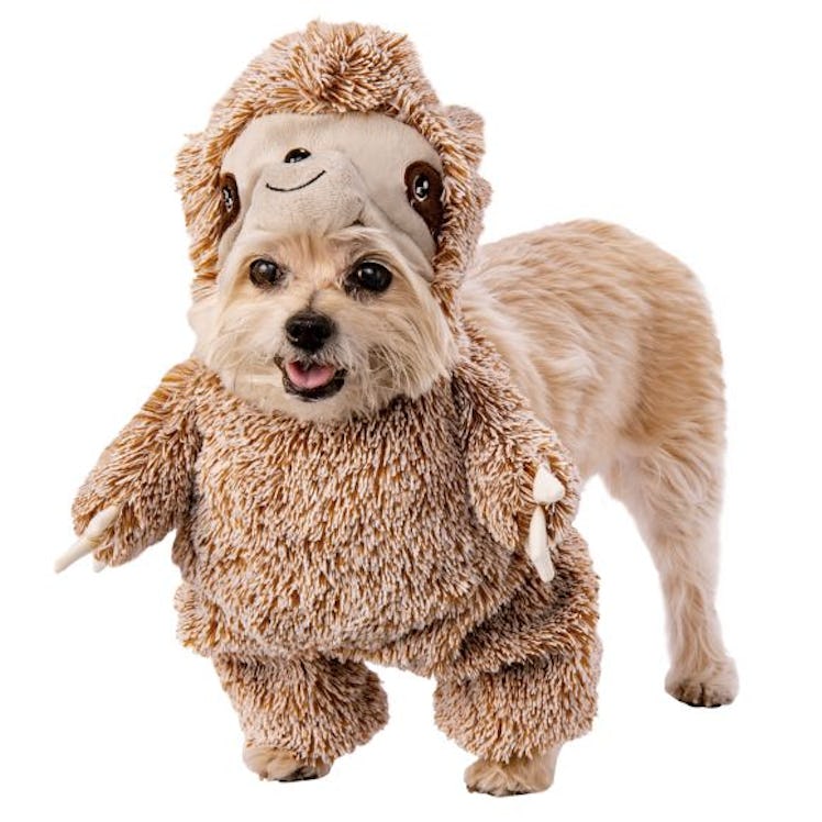 Rubie's Halloween Sloth Pet Walker Costume