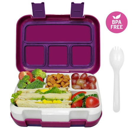 The 5 Best Insulated Lunch Boxes