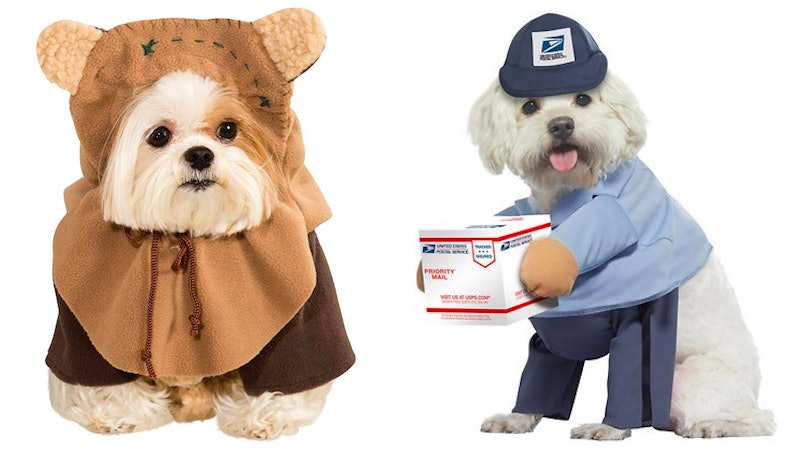 chewy costumes