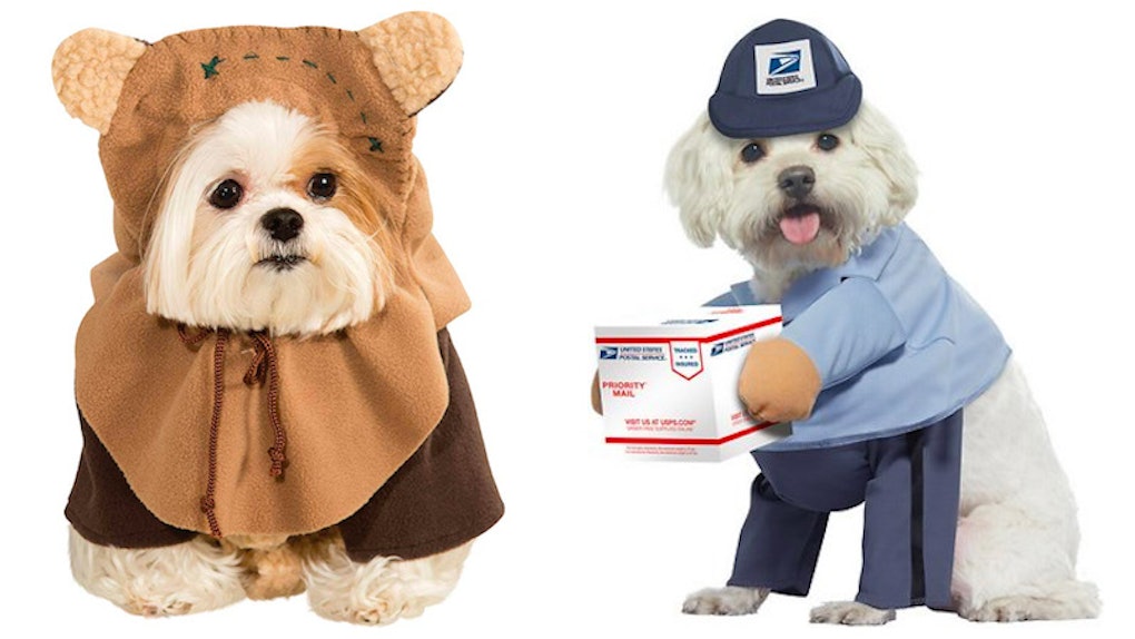 How To Make Halloween Costumes For Dogs 8 Cute Dog Costumes For Halloween 2019 That'll Make You Swoon