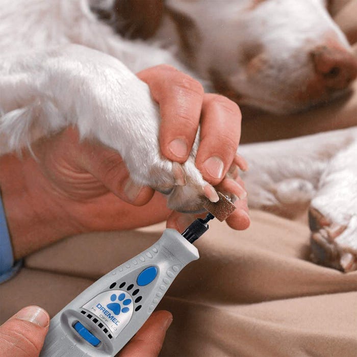 Dremel Cordless Pet Nail Grinding Tool