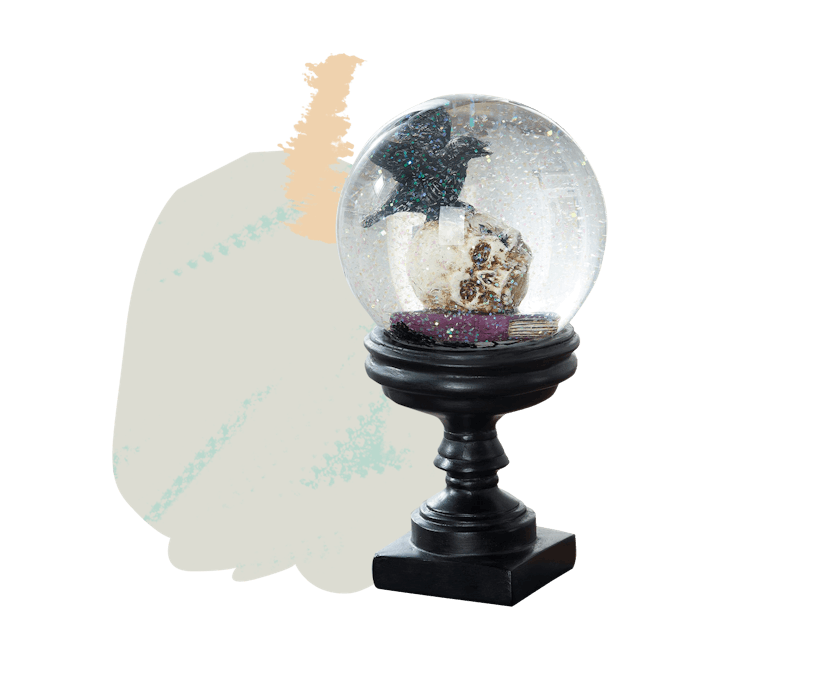 Skull & Black Crow Snow Globe