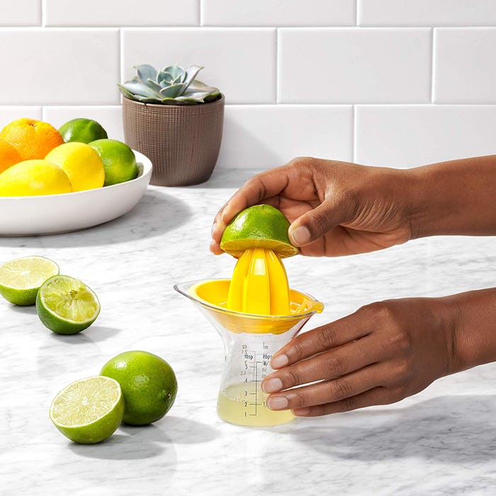 OXO Good Grips Small Citrus Juicer