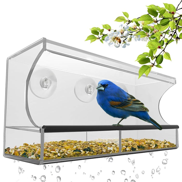 Nature's Hangout Window Bird Feeder 